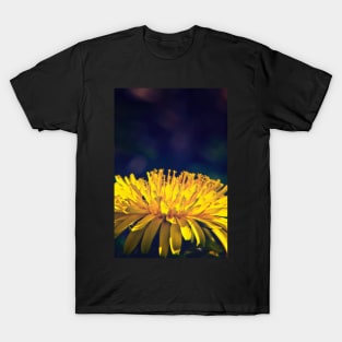 Dandelion Glow T-Shirt